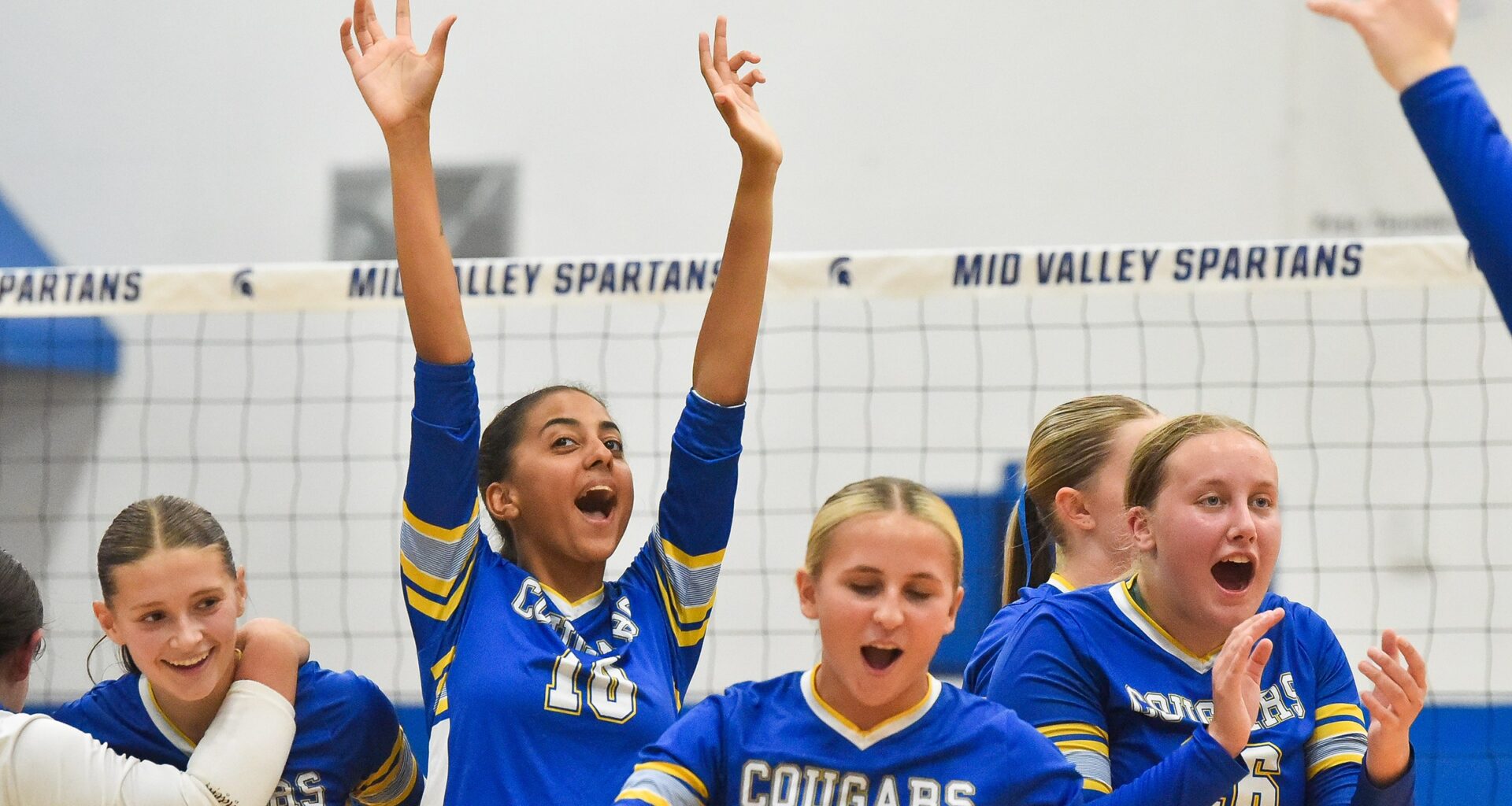 GIRLS VOLLEYBALL: Valley View pushes past Mid Valley in Division I showdown – Scranton Times-Tribune