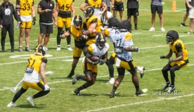Steelers Avoid Sunk-Cost Fallacy In Jones, Johnson Trades