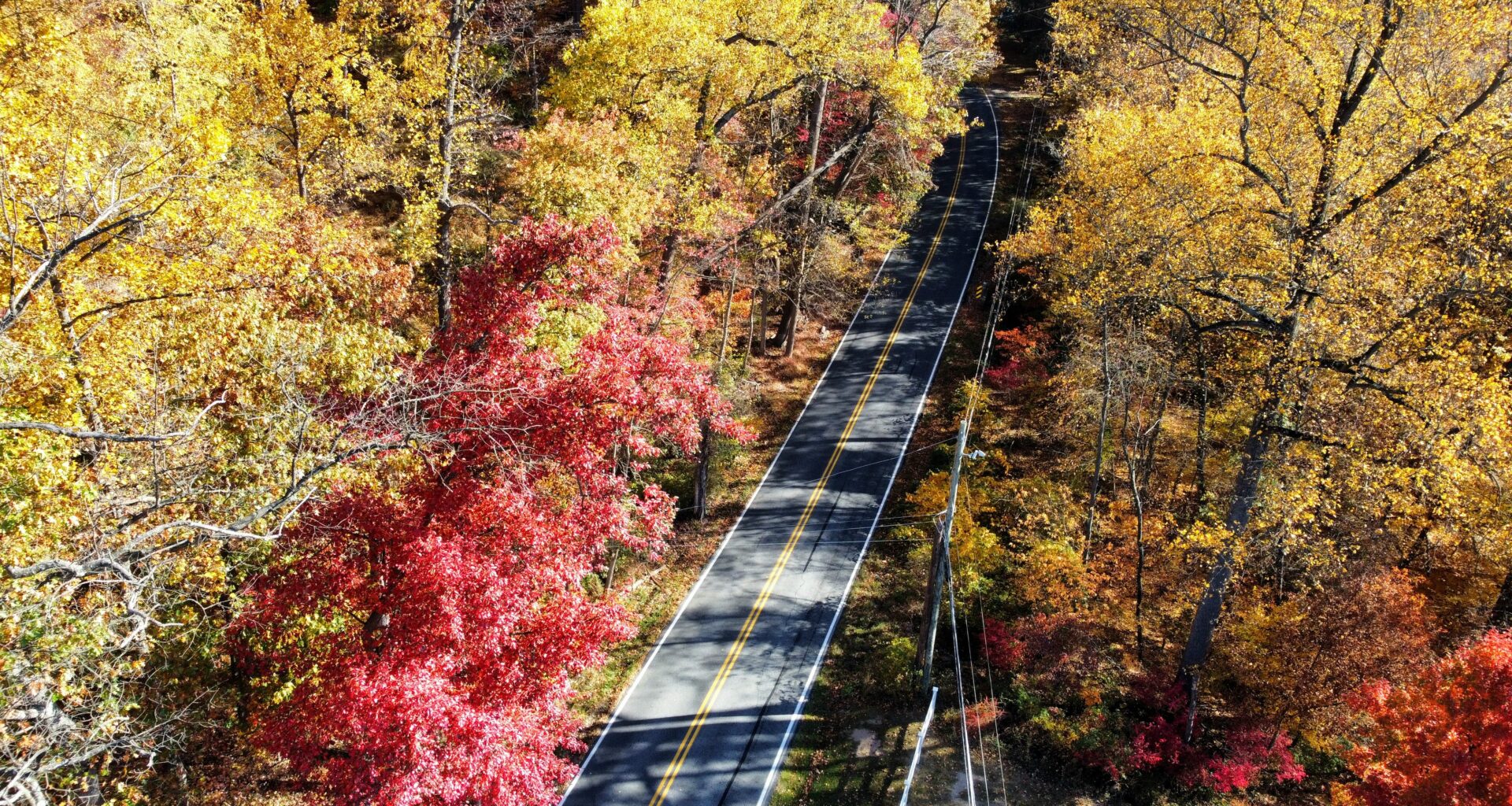 Pa. fall foliage forecast 2026: When leaves will start changing