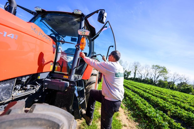 Chris Colitas, co-owner of Valley Fruits & Veggies, drives a tractor Friday, Sept. 25, 2026, at the farm on Locust Road in East Allen Township. Valley Fruits & Veggies offers snacks like apple cider slushies and handmade apple cider donuts, as well as a corn maze, tractor rides, goats and a fun play area. (April Gamiz/The Morning Call)