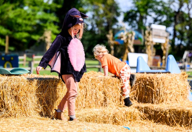 Sisters Laura, 4, and Holly, 1, run and play on haystacks Friday, Sept. 25, 2026, at Valley Fruits & Veggies on Locust Road in East Allen Township. Valley Fruits & Veggies offers snacks like apple cider slushies and handmade apple cider donuts, as well as a corn maze, tractor rides, goats and a fun play area. (April Gamiz/The Morning Call)