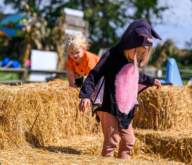 Sisters Laura, 4, and Holly, 1, run and play on haystacks Friday, Sept. 25, 2026, at Valley Fruits & Veggies on Locust Road in East Allen Township. Valley Fruits & Veggies offers snacks like apple cider slushies and handmade apple cider donuts, as well as a corn maze, tractor rides, goats and a fun play area. (April Gamiz/The Morning Call)