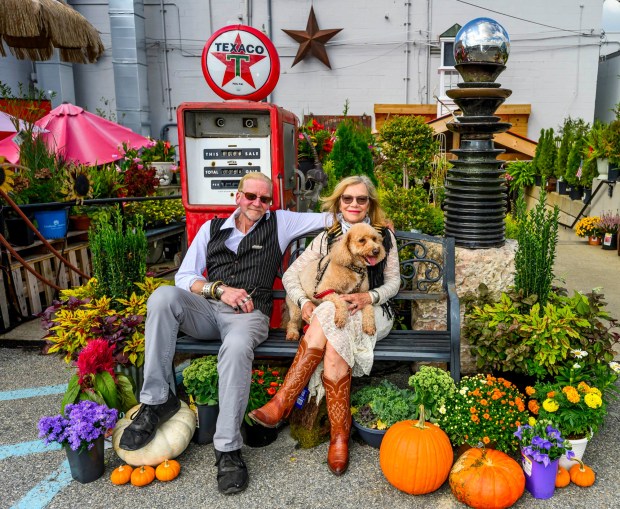 Weil's Doghouse Antiques' Mark Higgins and partner Michele Vrentas along with Molly sit at their new location Friday, Sept. 4, 2026, at Weil's Doghouse Antiques in the Parkway Shopping Center at 1471 Lehigh St. in Allentown. The antique store features over 180 vendors in its location in the back of the mall's parking lot. (April Gamiz/The Morning Call)