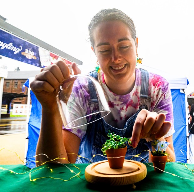 Kelly Smith, of Jesse James Beads in Bethlehem, arranges a beaded plant Sunday, Sept. 20, 2026, during the Lehigh Valley Wicked Plant Festival at the ArtsQuest Center at SteelStacks in Bethlehem.(April Gamiz/The Morning Call)