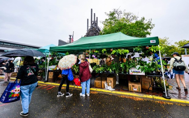 Rain didn't stop people from turning out Sunday, Sept. 20, 2026, at the Lehigh Valley Wicked Plant Festival at the ArtsQuest Center at SteelStacks in Bethlehem.(April Gamiz/The Morning Call)