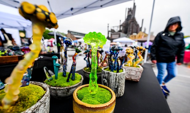 A neon green blown glass mushroom made by Ryan Messner's Glass Art seems to glow on a rainy day Sunday, Sept. 20, 2026, during the Lehigh Valley Wicked Plant Festival at the ArtsQuest Center at SteelStacks in Bethlehem.(April Gamiz/The Morning Call)
