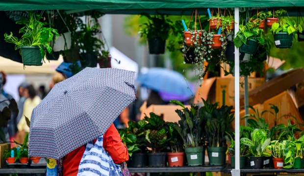 Rain didn't stop people from turning out Sunday, Sept. 20, 2026, at the Lehigh Valley Wicked Plant Festival at the ArtsQuest Center at SteelStacks in Bethlehem.(April Gamiz/The Morning Call)