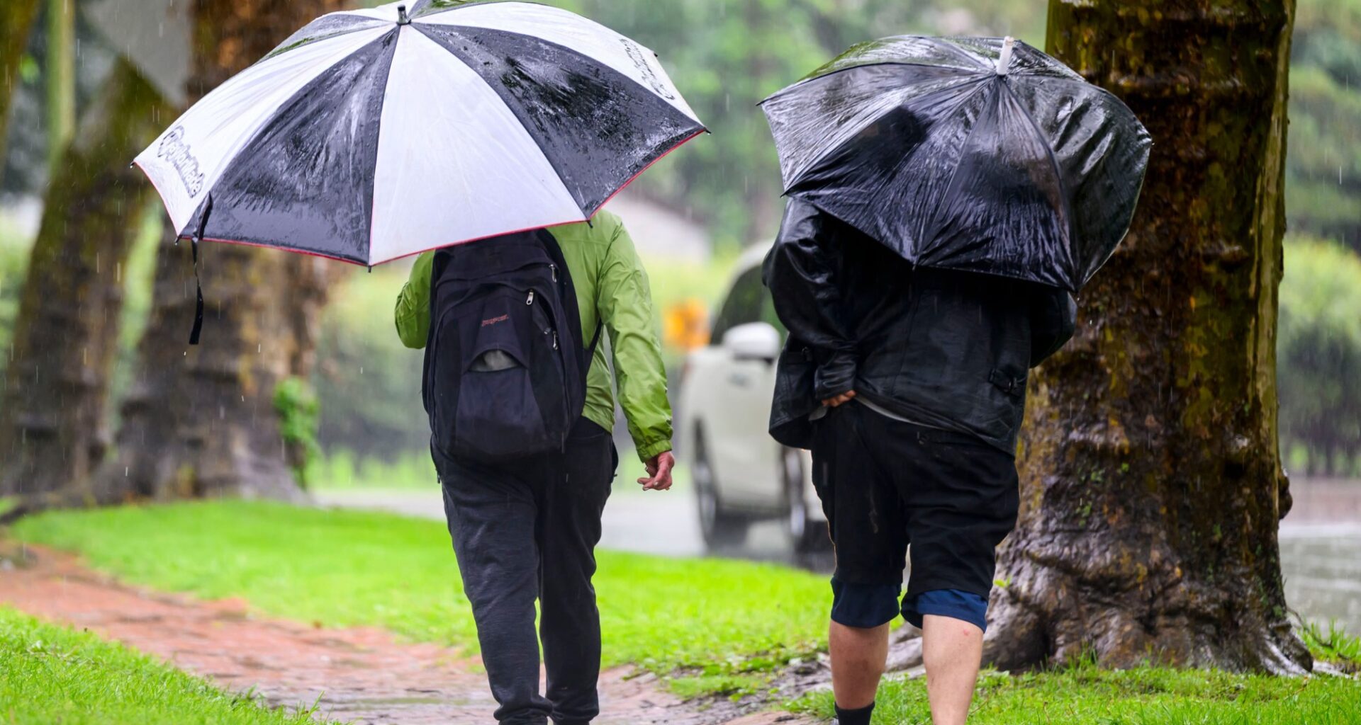 Allentown weather: Nor'easter not going to have major impact in the Lehigh Valley