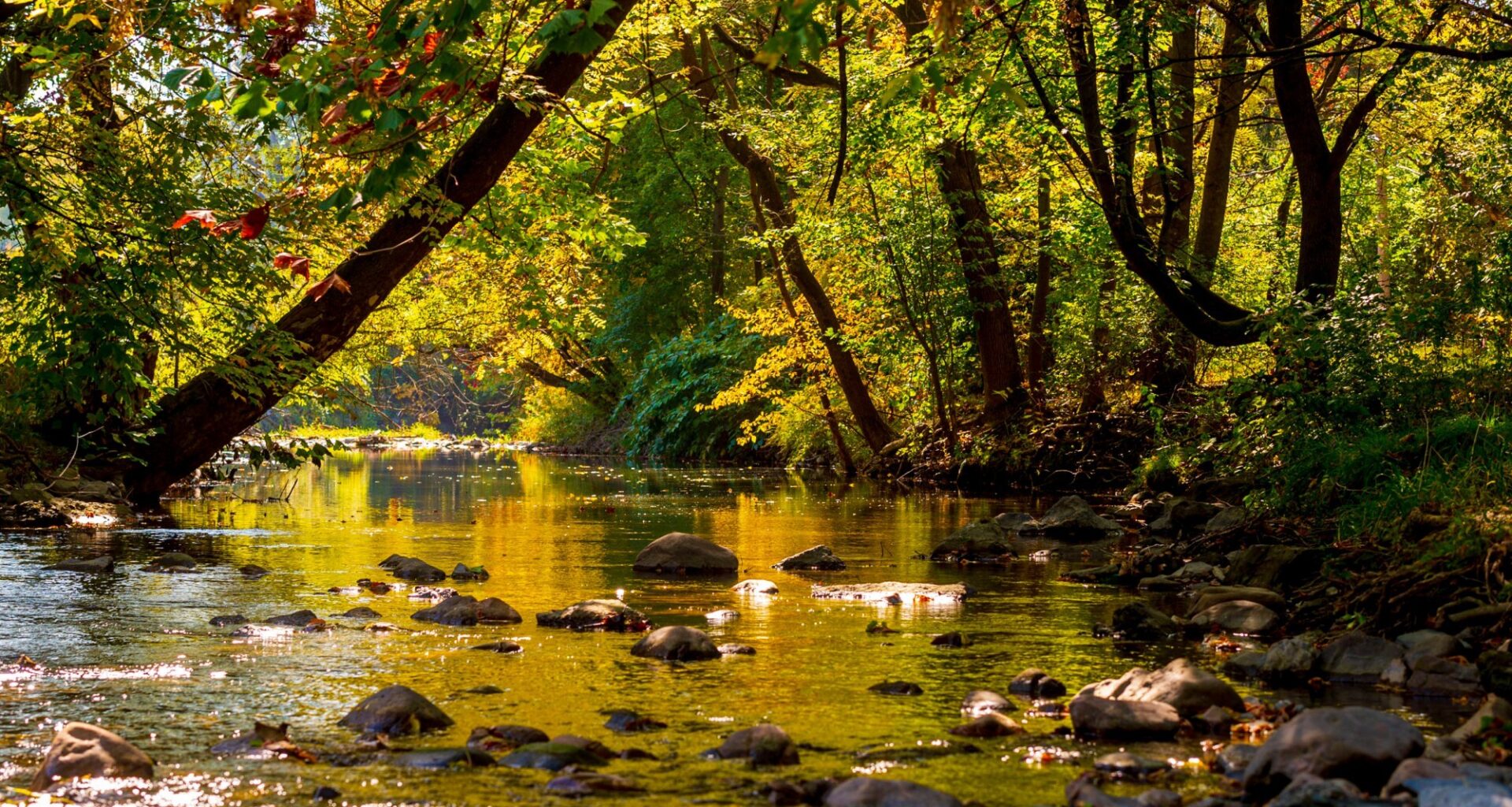Allentown weather: Cooler temperatures as fall begins, chance of storms