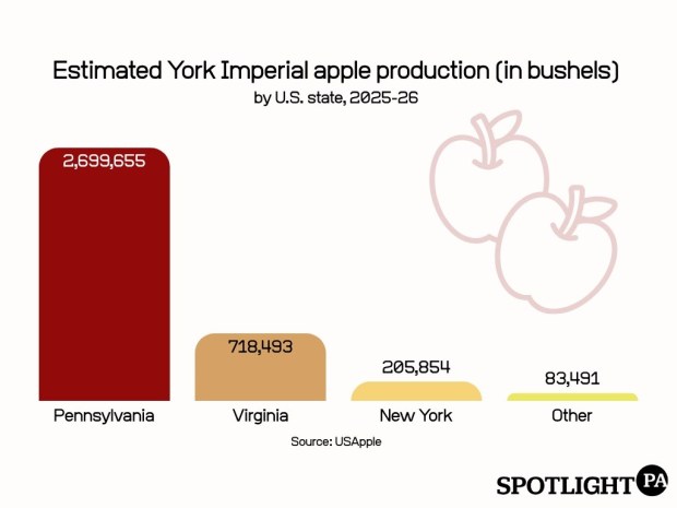 Pennsylvania is the top producer of Yorks. (Asha Prihar / Spotlight PA)