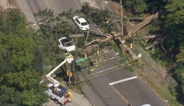 Massive tree falls onto two cars in Montgomery County injuring 2 – NBC10 Philadelphia