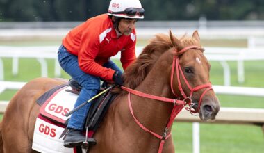 The Puma could be Pennsylvania Derby Bound