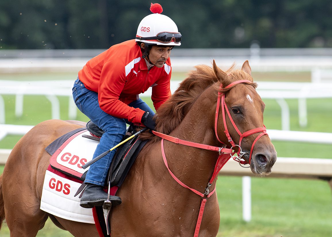 The Puma could be Pennsylvania Derby Bound