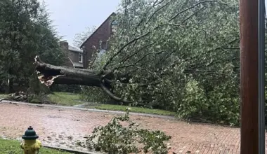 Tree downed in Oakmont, Allgheny County on September 4, 2026 after severe storms on September 2-3.