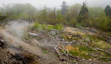 A coal fire has been burning in the tunnels under Centralia, Pennsylvania since 1962, and Congress put up $42 million to move the town away from it. Eight residents refused to leave, and in 2013 the state paid them $349,500 between them for the right to stay until they die.