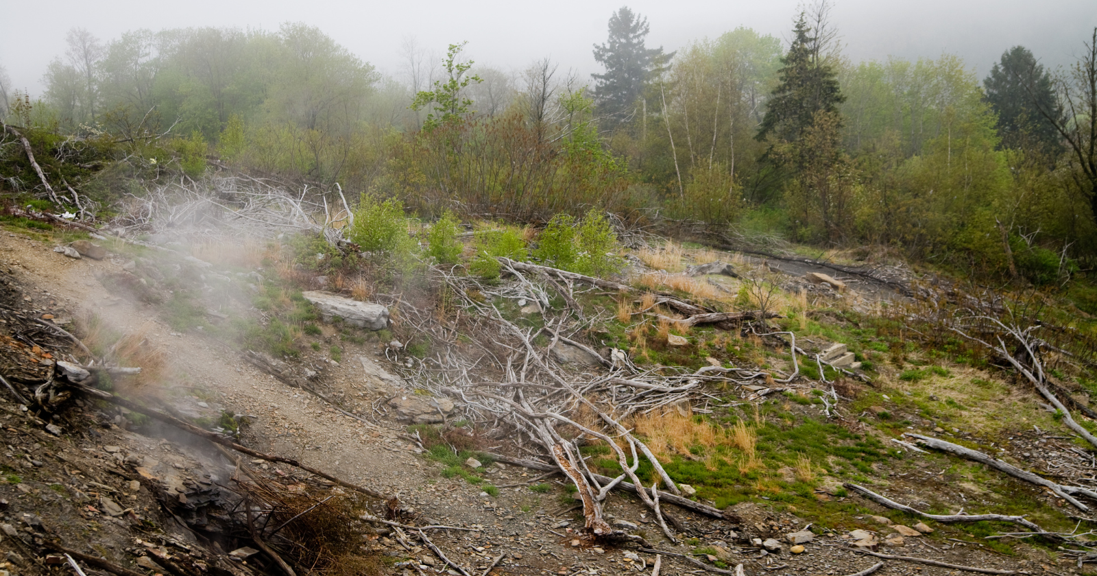 A coal fire has been burning in the tunnels under Centralia, Pennsylvania since 1962, and Congress put up $42 million to move the town away from it. Eight residents refused to leave, and in 2013 the state paid them $349,500 between them for the right to stay until they die.
