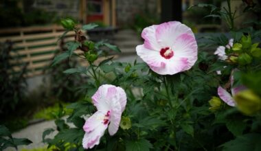 A couple transformed their Merion Station yard into a pollinator haven.