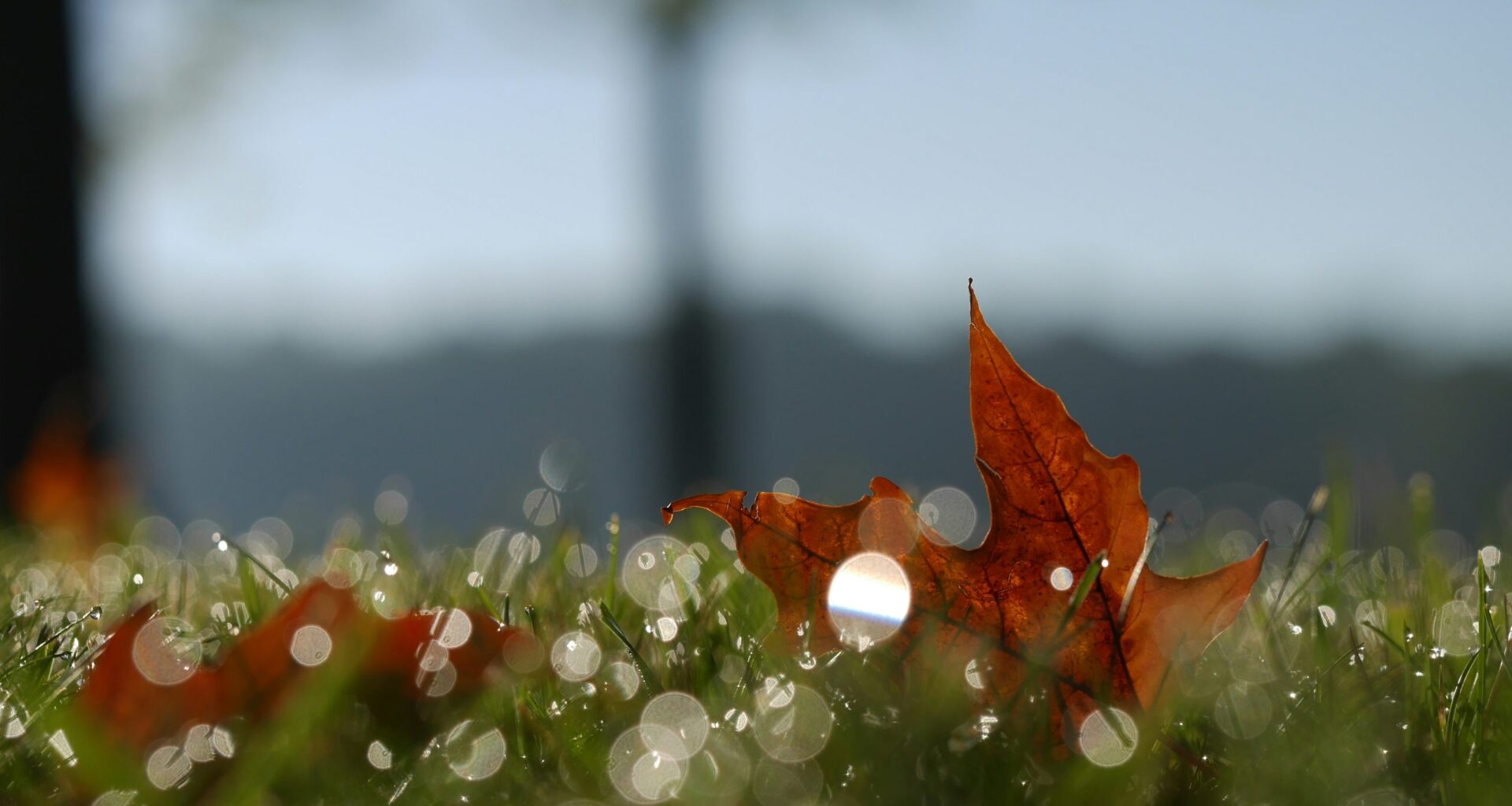 Join Berks County Parks & Recreation for September 2026 in the Parks