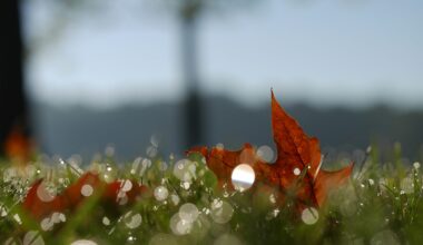 Join Berks County Parks & Recreation for September 2026 in the Parks