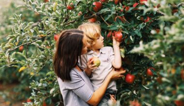Pennsylvania fruit growers face a difficult harvest after spring freeze