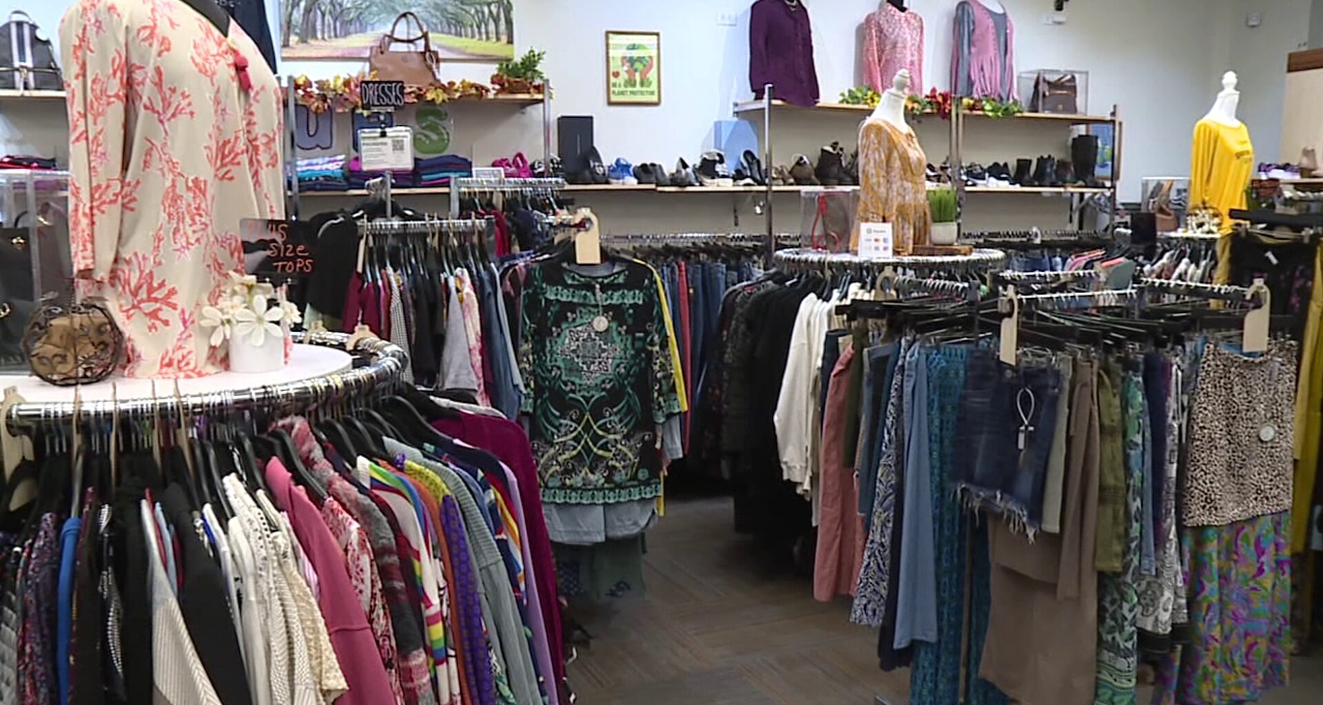 Ethical Clothing Company offers budget-friendly back-to-school options