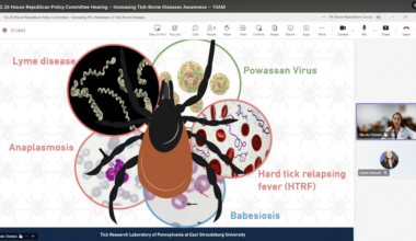 Pennsylvania Lyme cases near 19,000 a year, but the state still doesn’t count the other disease the same tick carries