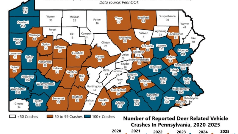 There have been more than 6,300 deer-related crashes in Pennsylvania each of the last three years, data shows. How many were reported in central PA in 2025? (County Commissioners Association of Pennsylvania)