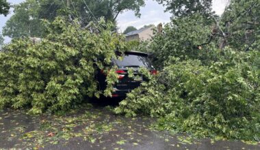 Family rescued by bystanders after large tree falls on car during storms in Bethel Park: "We started praying"