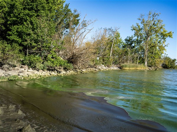 Strong winds from the northeast make Toledo-area algae even more gross