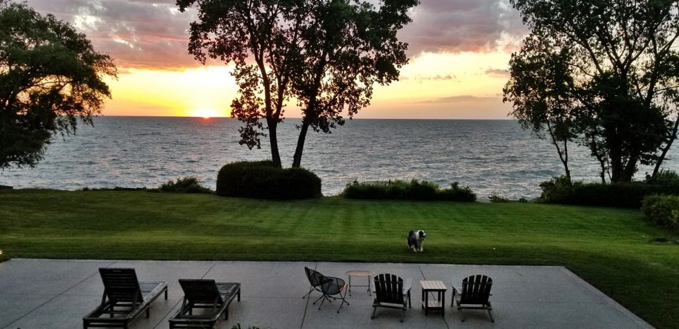 Scenic view of a sunset over a lake, with chairs and a dog on a grassy shore.