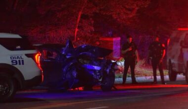 Driver killed when vehicle hits tree in Overbrook, police say – NBC10 Philadelphia