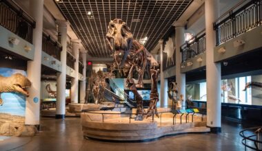 Preserving the Academy of Natural Sciences