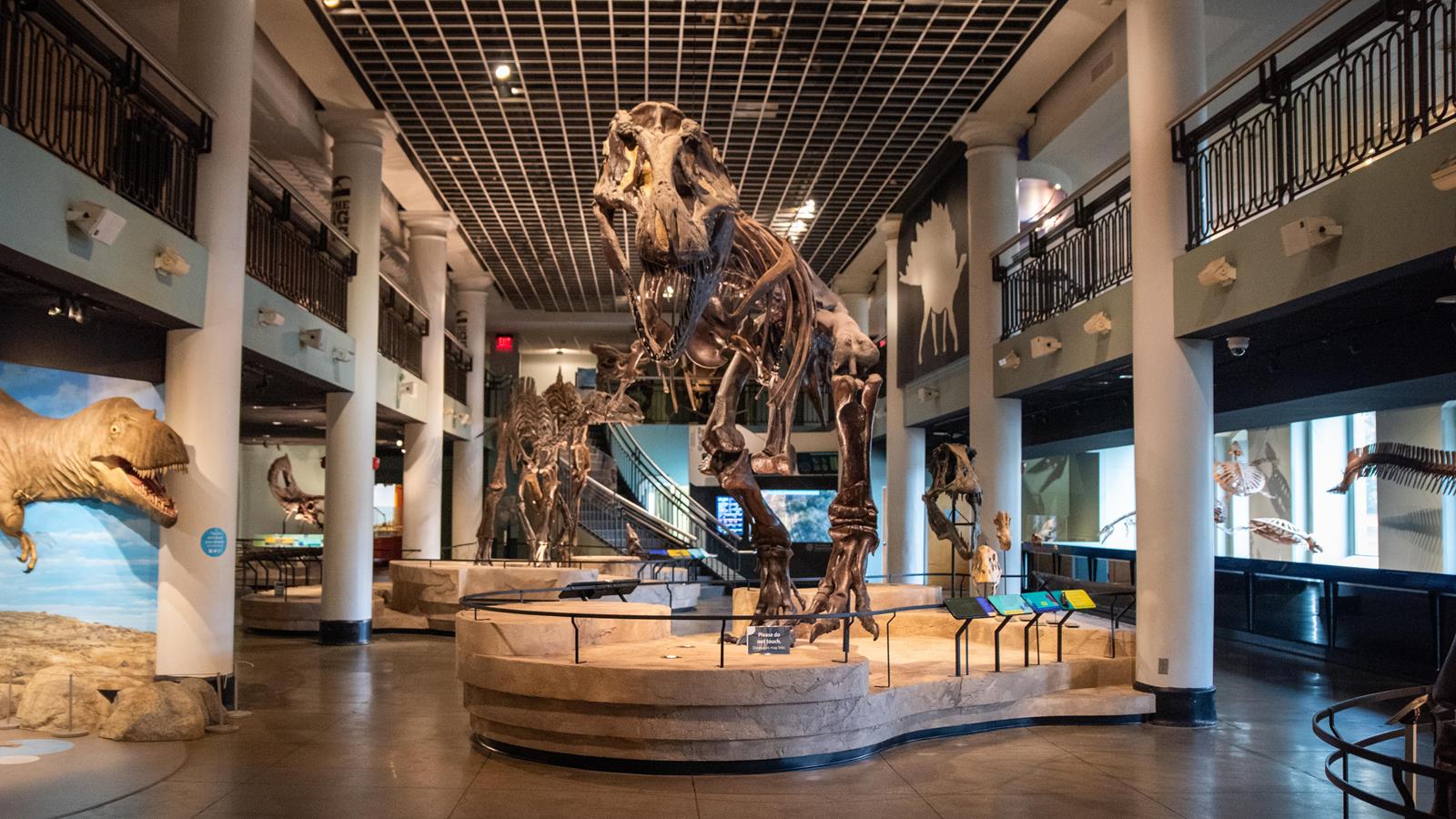 Preserving the Academy of Natural Sciences