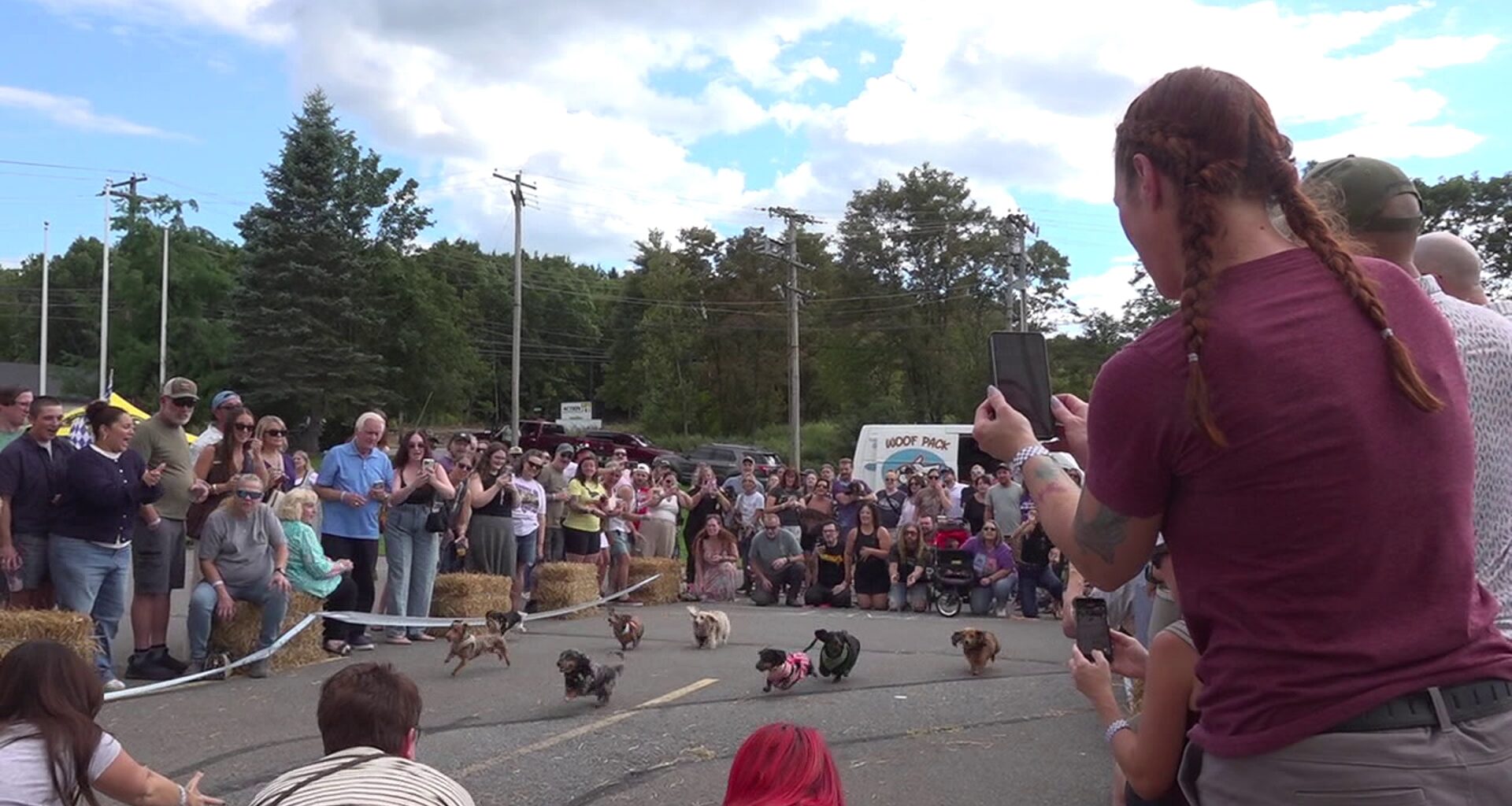 Wiener dogs race for glory at SBC Oktoberfest in Pittston