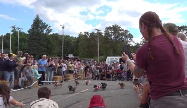 Wiener dogs race for glory at SBC Oktoberfest in Pittston