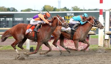 The Puma Prevails in Pennsylvania Derby