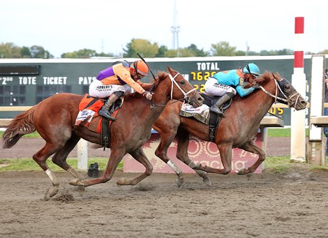 The Puma Prevails in Pennsylvania Derby