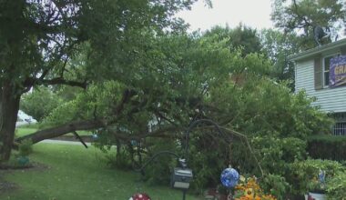 Fallen tree creates problems for Pittsburgh-area homeowner dealing with health issues