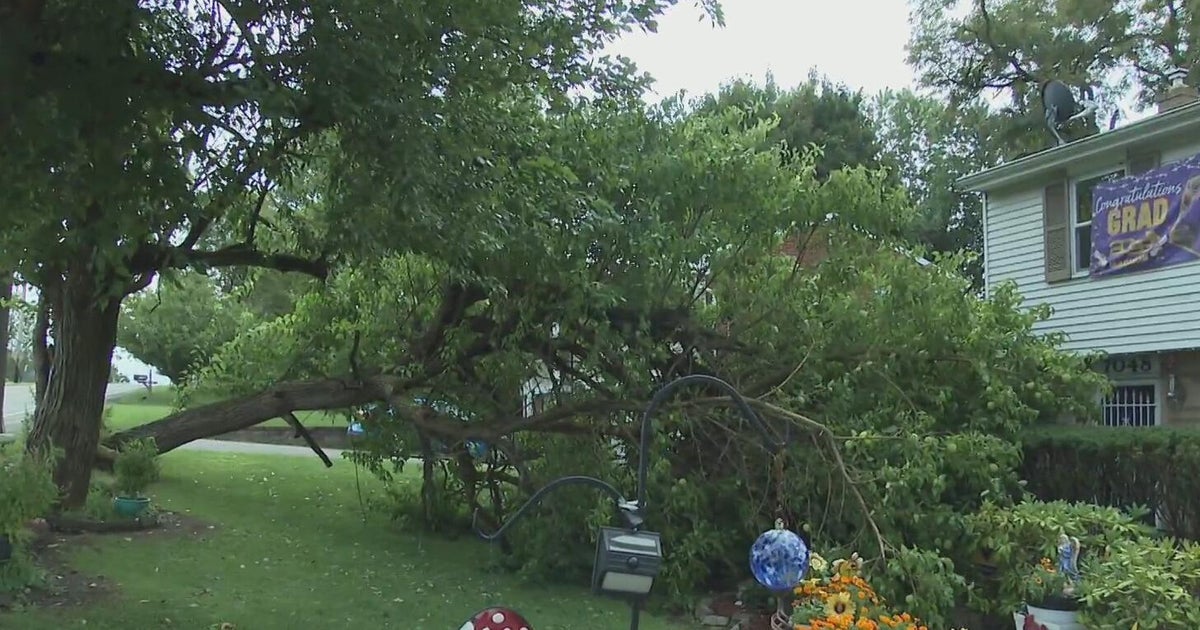 Fallen tree creates problems for Pittsburgh-area homeowner dealing with health issues