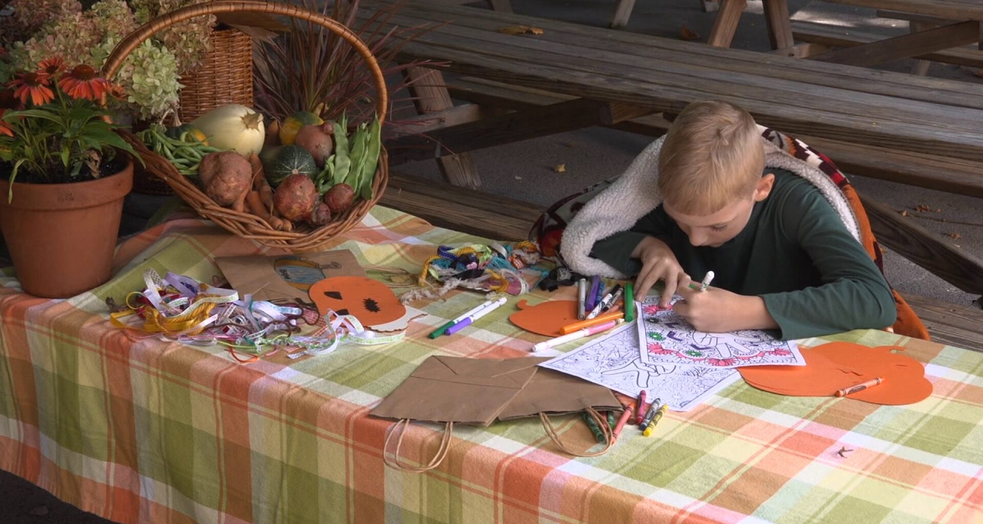 Farm to Family Fest in Lackawanna County