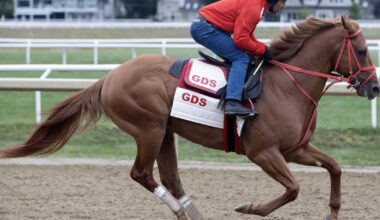 The Puma breezes easy half-mile for Pennsylvania Derby