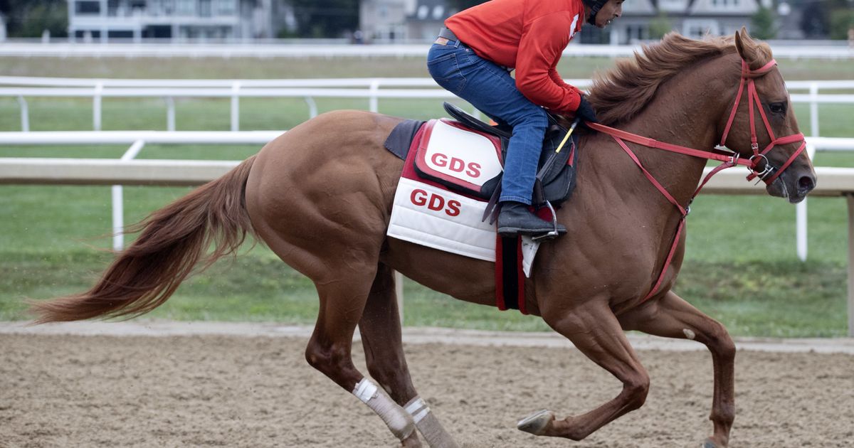 The Puma breezes easy half-mile for Pennsylvania Derby