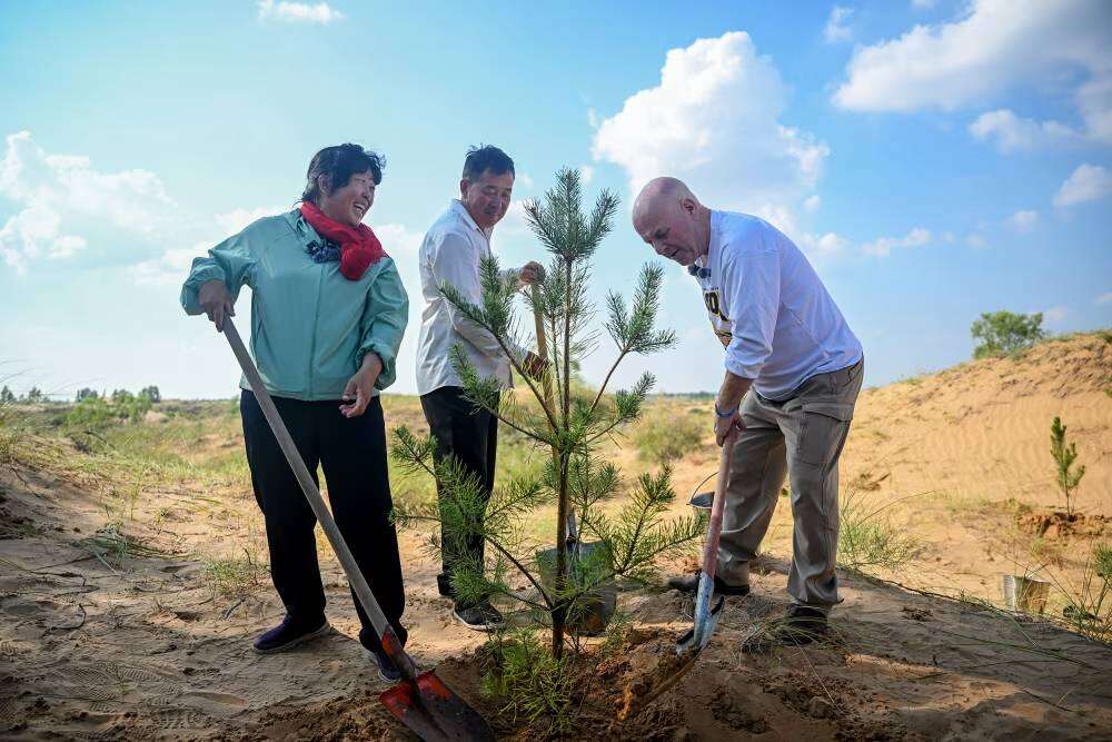 From desert to forest: a remarkable friendship across borders. (Photo: Getty Images) From desert to forest: a remarkable friendship across borders.