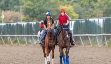 Pennsylvania Derby: Why they win, why they lose