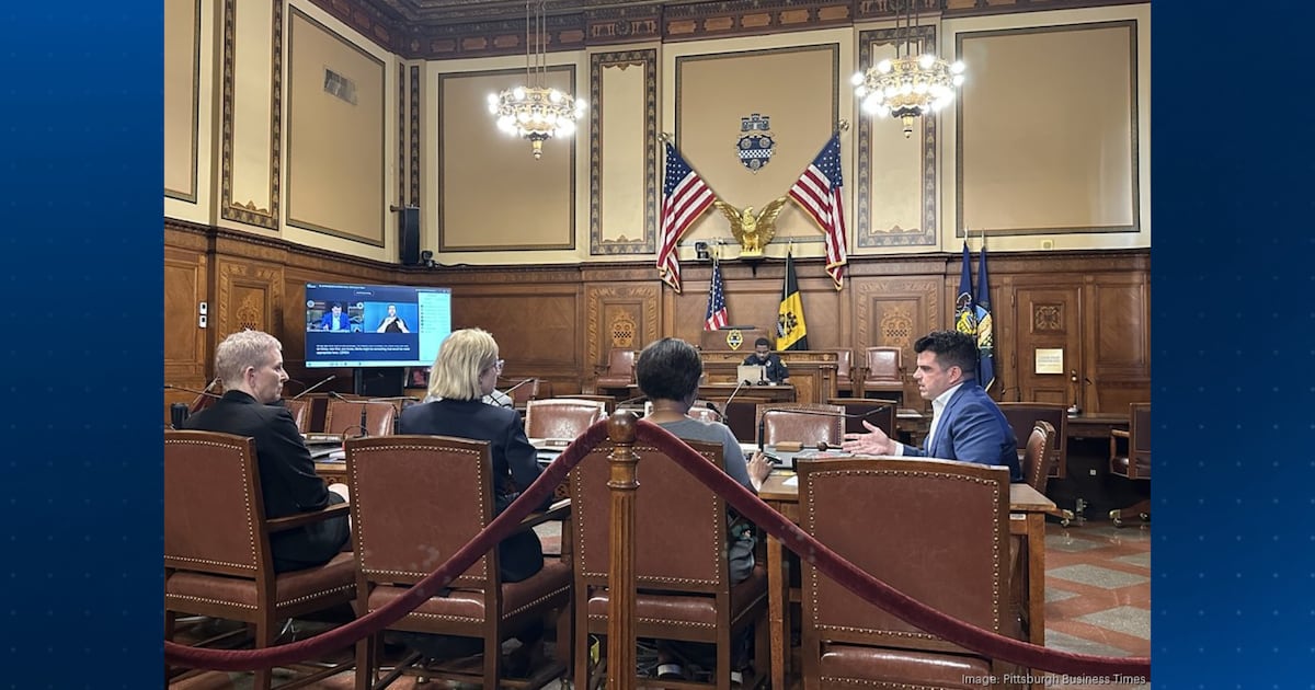 South Side improvement district proposal draws support, opposition at public hearing