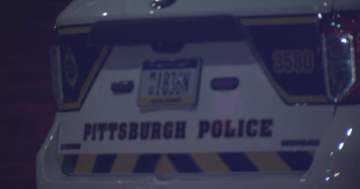 Men arrested by SWAT, Fugitive Apprehension Unit in Hill District
