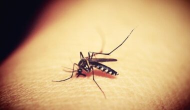6 more Allegheny County communities being sprayed to reduce West Nile Virus