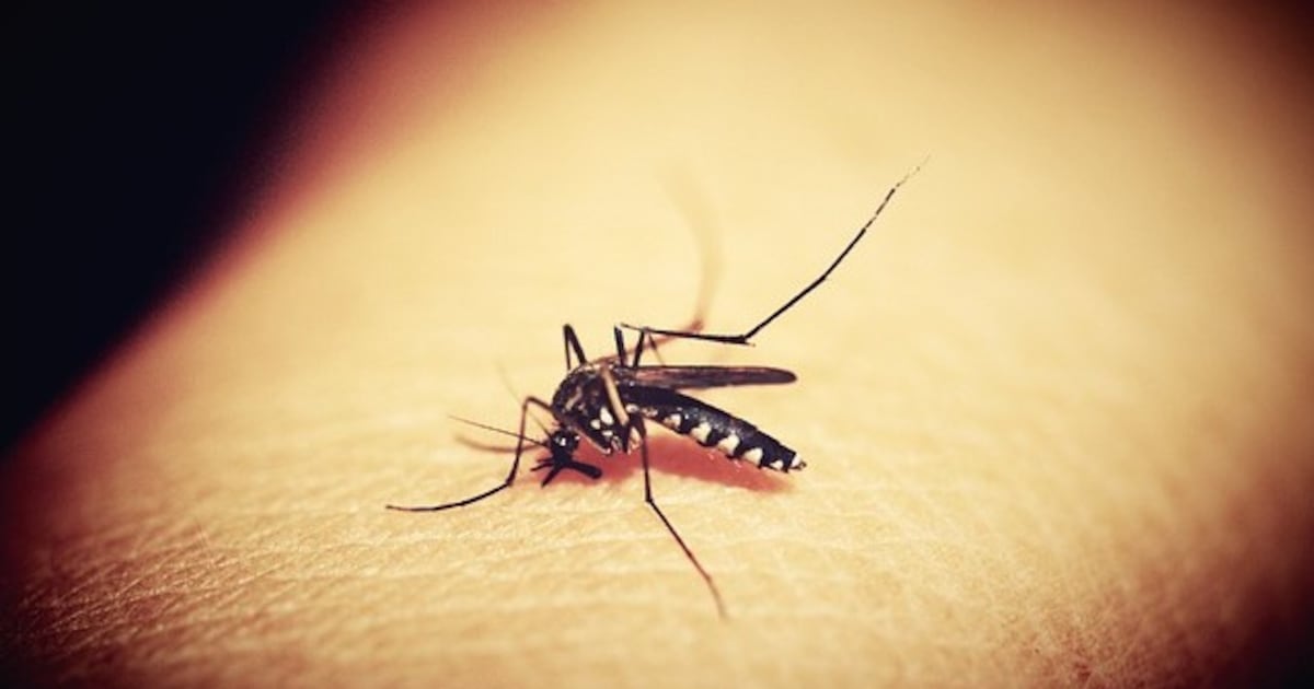 6 more Allegheny County communities being sprayed to reduce West Nile Virus