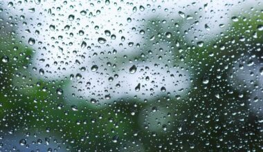 PITTSBURGH WEATHER: Steady rain develops overnight