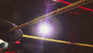 Professional wrestler 'The Butcher' collapses during show at Mr. Smalls Theatre